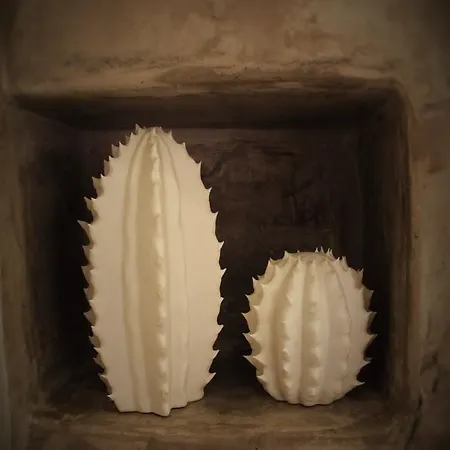 Divine * بويرتو ذيل كارمين