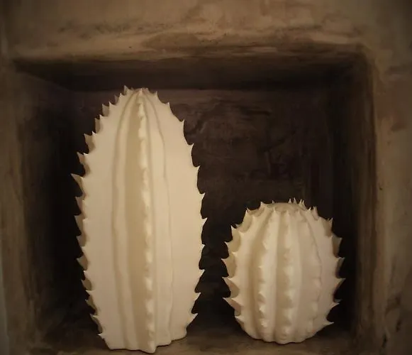 Divine * פוארטו דל כרמן